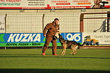 Horax vom Wolfsheim