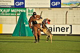 Horax vom Wolfsheim