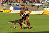 Nadir von der Mausebreede