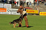 Nadir von der Mausebreede