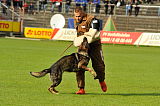 Legend v. Alten Kanal