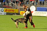 Legend v. Alten Kanal