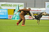 Legend v. Alten Kanal