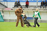 Legend v. Alten Kanal
