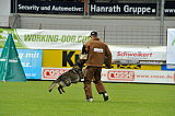 Legend v. Alten Kanal