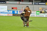Legend v. Alten Kanal