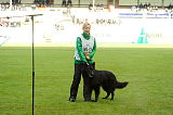 Wolfhaus Joe Black