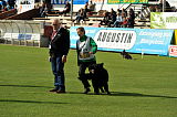 Wolfhaus Joe Black