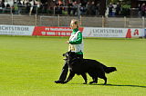 Wolfhaus Joe Black