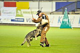 Jack vom Gsiberger