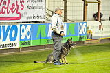 Jack vom Gsiberger