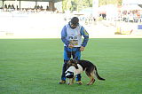 Astra Kikyo v. Kariyushi Chokou