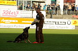 Dolf v. S.K. Lieben