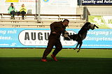 Dolf v. S.K. Lieben