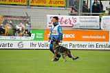 Dolf v. S.K. Lieben