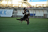Airwolf Asko