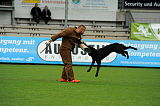 Checker vom Speedteam Bodensee