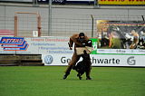 Iska von den Eisspitzen