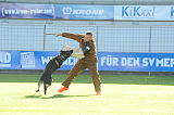 Xanuk v. grauen Star