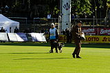 Xanuk v. grauen Star