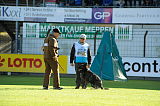 Xanuk v. grauen Star