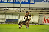 Wotan vom Haus Pixner