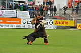 Kyran v. Ratsenheim