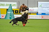Kyran v. Ratsenheim
