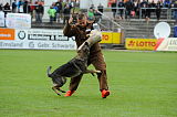 Ira v. Schloss Forstegg