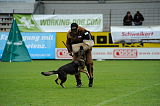 Ira v. Schloss Forstegg