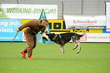 Noxx von der Donauvorstadt