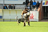 Yago III de Parayas