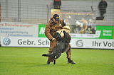 Legolas v. Hermes