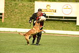 Bandit Boccaro