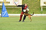 Bak Malinois of Sprajc