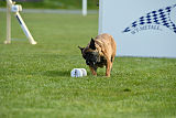 Jenos' Rika