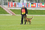 Safft Security's Cooper