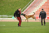 Mecberger Katarina