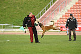 Mecberger Katarina