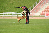 Mecberger Katarina