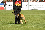Red Bull vom Further Moor