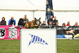 Red Bull vom Further Moor