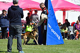 Ferro du Mont St.Aubert