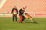 Visszhang Cirko
