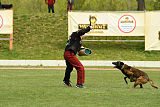 Atas of Hungarian Working Dogs