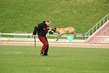 Joujou von Dorlatos