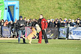 Quo Vadis Canis Bebeto