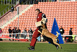 Quo Vadis Canis Bebeto