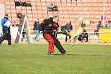 Aura Marenberska