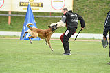 Ullhedens Yago